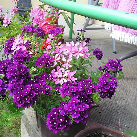 Apartman Silvia Komárno エクステリア 写真
