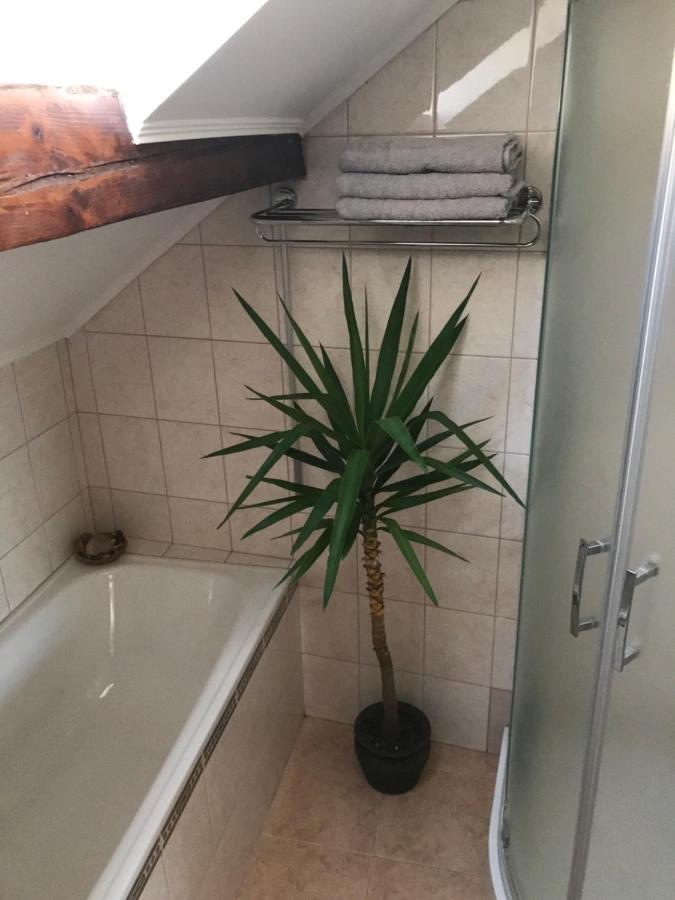 Apartman Silvia Komárno エクステリア 写真