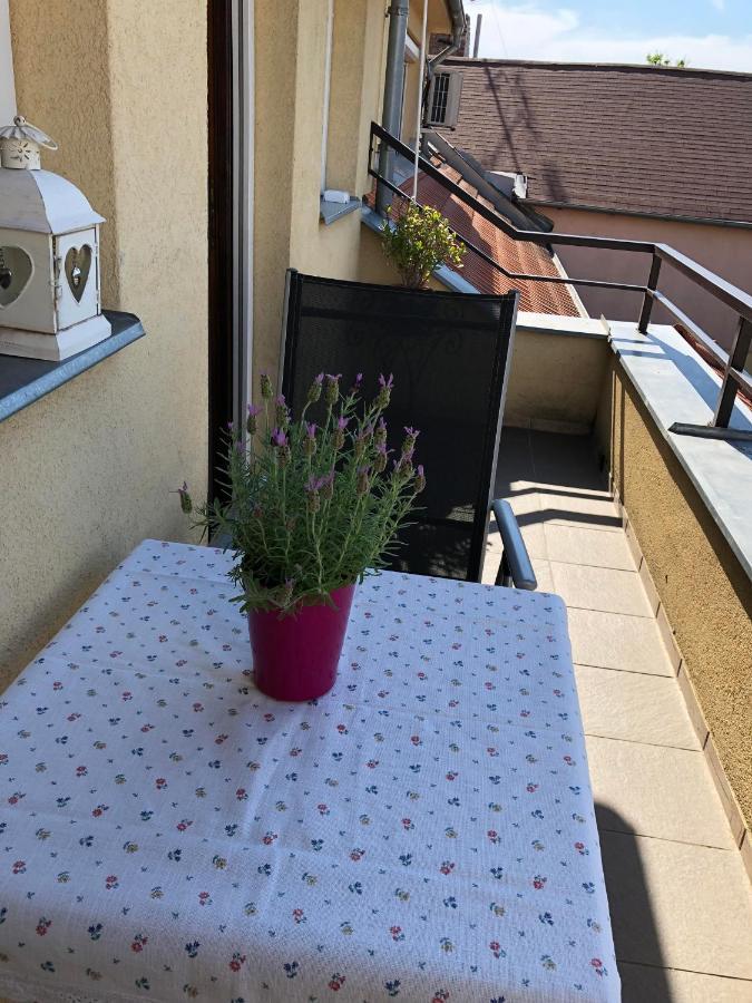 Apartman Silvia Komárno エクステリア 写真