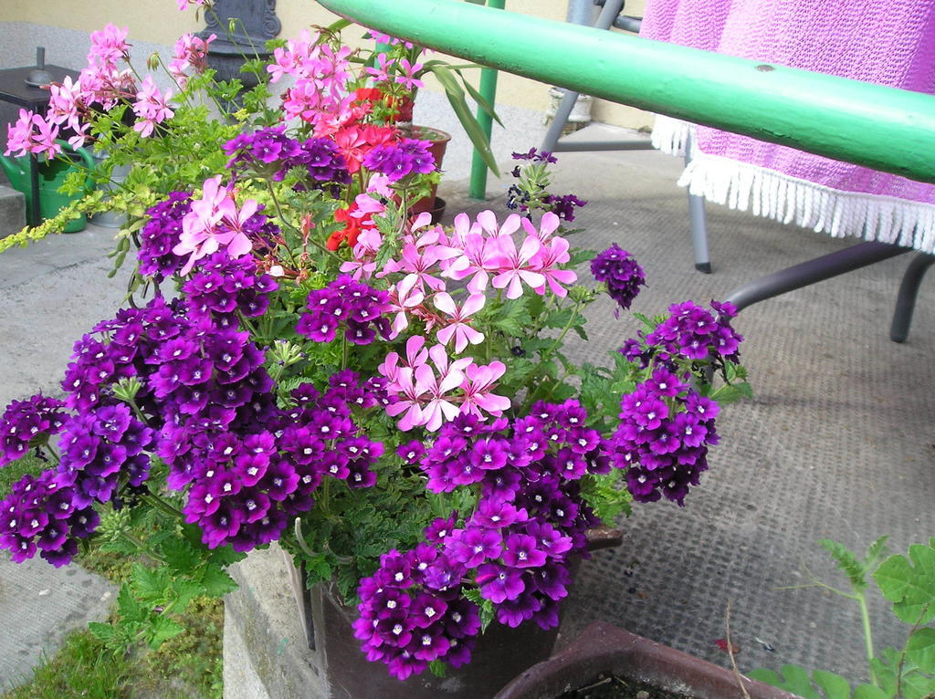 Apartman Silvia Komárno エクステリア 写真